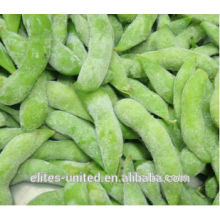 Best Quality Frozen Soybean Price